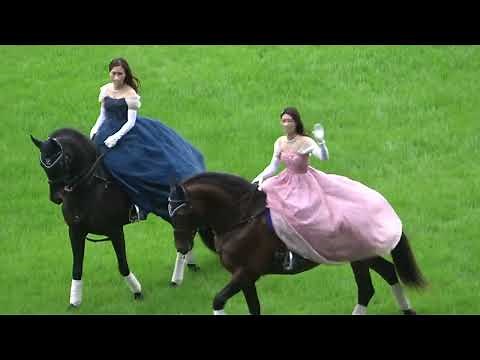 【誘導馬】ヴィクトリアマイル 華麗な演技をする本丸とレヴォルトソー 現地映像 ソダシ