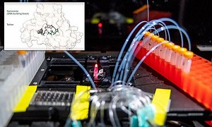 Genetic tool could let scientists create new DNA ‘overnight’ that may help humans live forever – Lifeboat News: The Blog