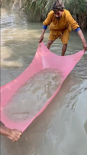 #fish #fish #fishing #viralvideo 😱😱🐟🐟🐠🎣🎏🐬🐬