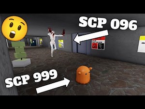 SCP 096 VS SCP 999 - Roblox