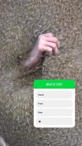 Milwaukee County Zoo on Reels