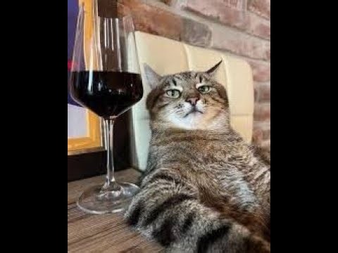 Poly-Z RNG Interview And Answering Questions With Azure!