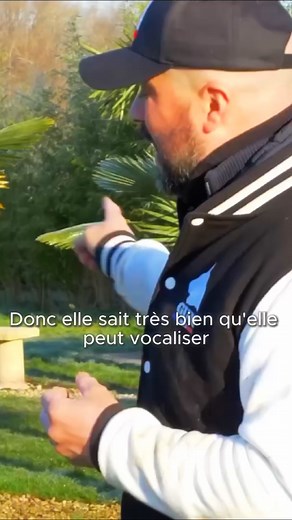 Aucun humain n’a la capacité d’enseigner les codes canins à un chien ! #chien #educationcanine #educationchien | La Méthode Gun