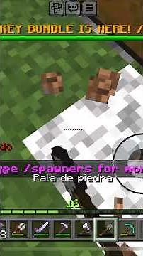 One block (Minecraft)