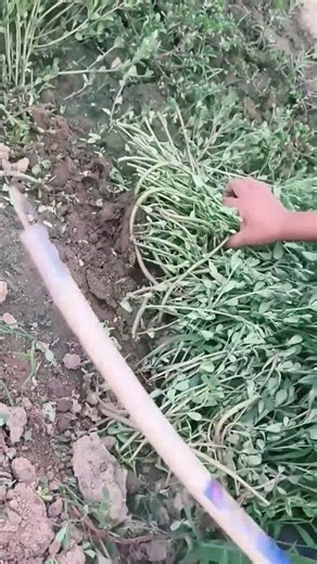 Farming tools for cutting all types of plants and weeds #shortvideo #farming #youtubeshorts