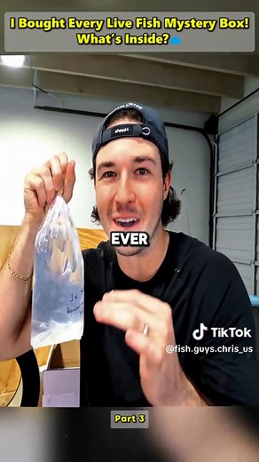 I Bought Every Live Fish Mystery Box! What’s Inside? Part 3 #thefishguys #fish #seamonster #mysterybox #Vlog