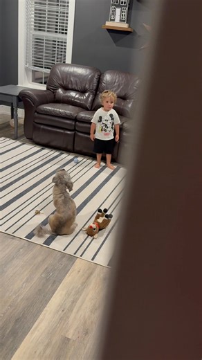 Joshua Andrew Tweedie on Reels | Facebook