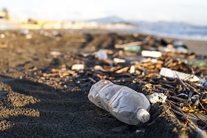 Plastic pollution: ESL/EFL Lesson Plan and Worksheet