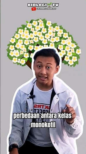 biology discussion: differences between monocots and dicots