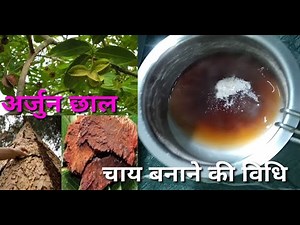 Arjun chaal ki chaye banane ki vidhi | अर्जुन छाल की चाय से क्या फायदे,अर्जुन छाल की चाय कैसे बनाये