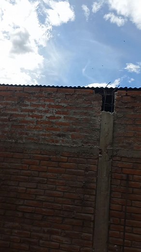 Siempre activos #videoviral | Osmin Rivera