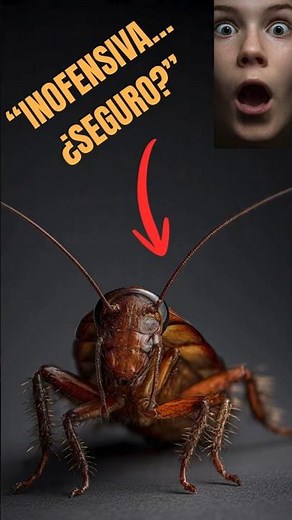 The Madagascar hissing cockroach that everyone fears #insects #funfacts