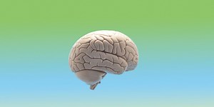 IQ Tests Help the Privileged ‘Stay Privileged,’ Scientists Say