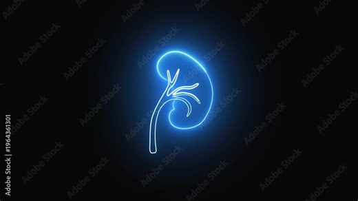 Glowing abstract depiction of a kidney and ureter on dark background. Abstract kidney and ureter icon glows against dark backdrop. Dark background highlights glowing kidney and ureter.