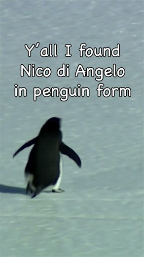 Nico di Angelo Spotted In The Wild