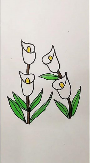 Lily Flower Easy Drawing For Kids #lily #trending #kidstvforfun #shorts #flower #viralshorts