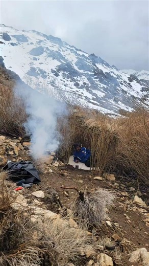 I Built This Shelter to Survive the Cold ❄️ #bushcraftshelter