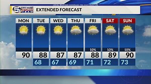 Pet of the Week: Archie, the Yorkie/Shih Tzu-Mix