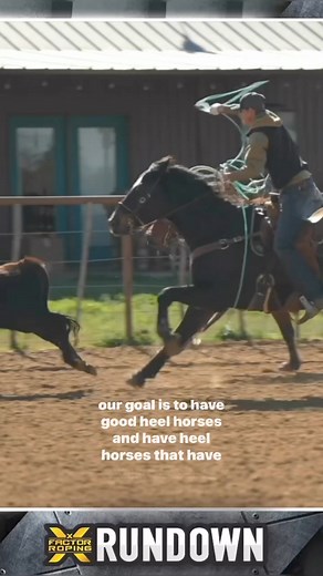 25K views · 618 reactions | Have you been wondering why there are so many NFR Qualifiers & PRCA team ropers entered at the rope horse futurities lately? Here’s why from Hunter Koch’s perspective  Catch more from Koch and his horse training program on xfactorroping.com  | X Factor Roping | Facebook