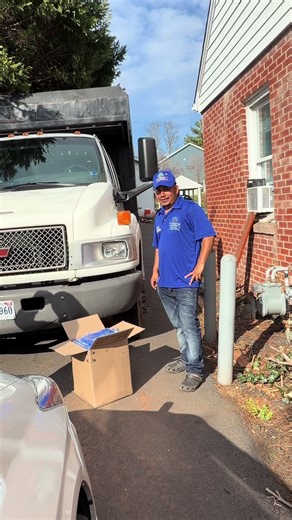 Expert Tree Services for Your Landscape