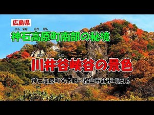 神石高原町南部の秘境 川井谷峡谷の景色