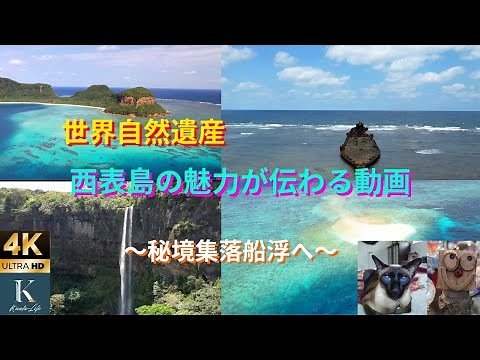 世界自然遺産の西表島の魅力を紹介します～陸の孤島の秘境集落船浮へ旅の記録👌Aerial view of Japan