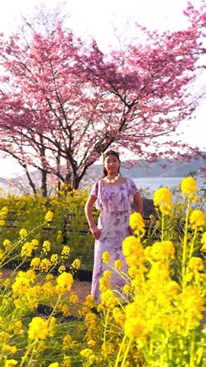 【フラ】【小６踊ってみた】花は咲く〜日本のフラ復興動画〜モアナフラレア フラ#キッズフラ#ケイキ #キッズダンス#周南市#新南陽#夜市#徳山#下松市#笠戸島河津桜#菜の花#春#撮影#short