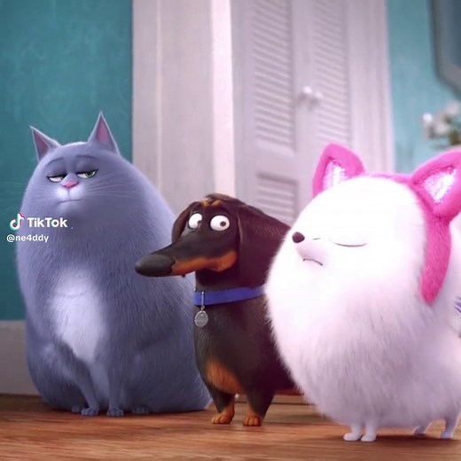 Gidget Edit from The Secret Life of Pets 2