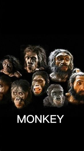 EVOLUTION CHANGE'S DAY BY DAY↗️|| #shorts