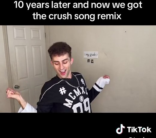 Crush Song Remix by Twaimz - Out Now!