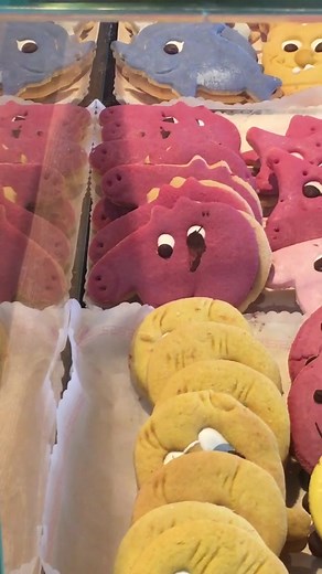 Julie Andersen on TikTok