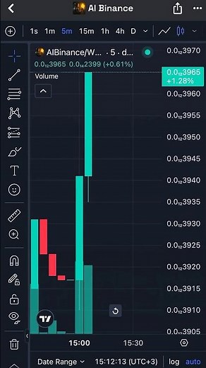 Scanning a New BSC Token with DexTokenSniffer Pro #trader #crypto #bitcoin