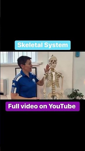 Skeletal System: The Hidden Science of Your Bones