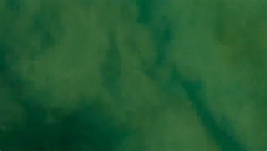 26K views · 142 reactions | We spotted this incredible flathead sitting right on the edge of the weed bed easily over 90cm, maybe pushing the magic meter mark! I dropped a cast just past her and worked the lure back, hoping for that strike… but she wasn’t having it and took off in a flash. The one that got away #flathead #fishing #flatheadfishing #fishingislife #fishingaddict #fishinglife | Andrew Ettingshausen - Escape Fishing with ET | Facebook