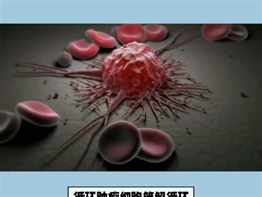 循环肿瘤细胞（CTCs）简解