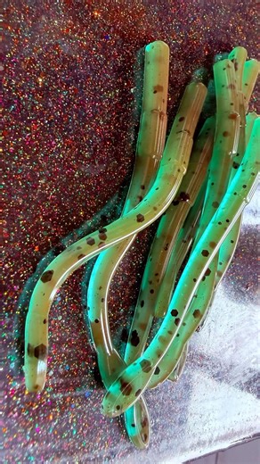 Making Some Bot Worms! What Do You Think? #baitmaking #fishing #bassfishing