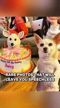 SHOCKING Photos That Will BLOW Your Mind! #shorts