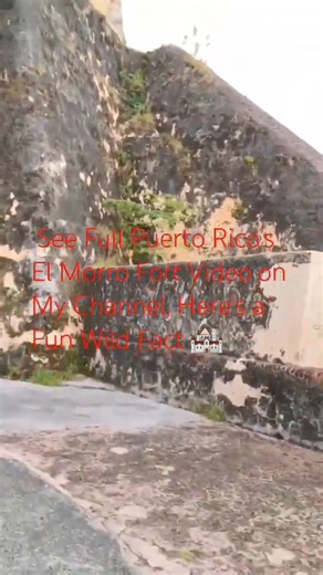 Ancient Facilities at Puerto Rico 's Fort El Morro, an interesting discovery