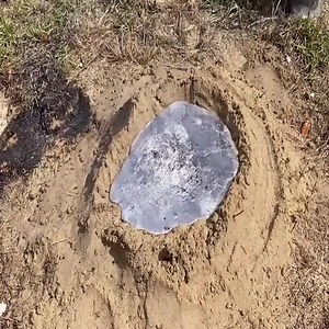 5.6K views · 59 reactions | Watch A Large Harvester Ant Colony With Molten Aluminum | True North | Facebook