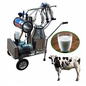 [Hot Item] Dairy Equipment Milking Machines Milk Bucket in Commercial