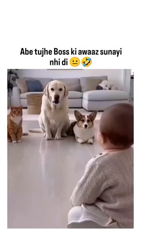 ❝ ✧ Ꮓ ů 𝗹 𝐟 ꪖ ❀ on Instagram: "Tag your friends 😂🤭 . . . . . #insta #foryoupage #likesforlike #style #beauty #art #viralreels #cute #video #viralindonesia #beautiful #post #funny #k #instalike #exploremore #photo #meme #share #reelviral"