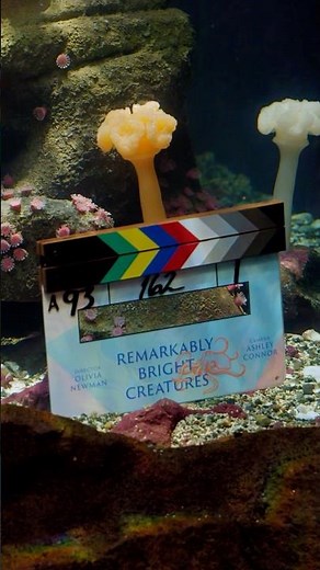 that's a wrap on Remarkably Bright Creatures 🐙