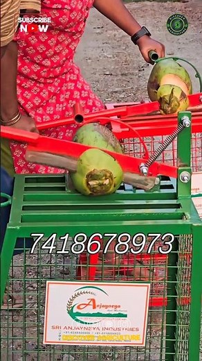Tender Coconut Peeling, Punching and Cutting All in one Machine