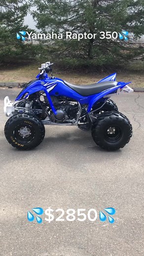 2008 Yamaha Raptor 350 For Sale - Low Hours and Clean