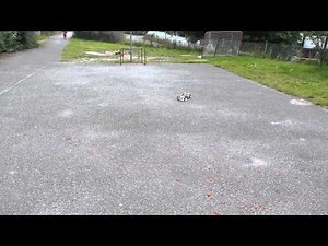 OpenRC 1:10 Touring Car Testdrive