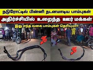 Have you ever seen a scene where pythons are walking around in a tangled web? 🐍 The villagers wer...