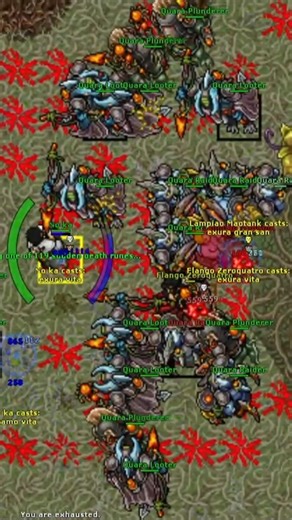 Fazendo um RP 1500 morrer pra QUARA no Tibia #tibia #mmorpg #shortvideos