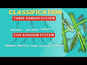 Classification - Three Domains System - Five Kingdom System of Classification - Biology