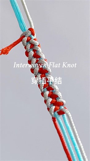 How to Tie a Interwoven Flat Knot 03 | 穿插平结03 Knot Tutorial for Crafts & Macrame #diy #handmade