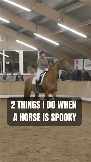 How to handle a spooky horse 👻 When a horse is spooky, the key is to maintain your influence and help them stay relaxed and balanced. 1️⃣ Let them explore safely: Allow the horse to look at the object or area that scares them. Sometimes I even let them touch it. No pressure from your leg or rein, just observation. 2️⃣ Approach gradually: At first, avoid the spooky spot. This is not ignoring the fear, but choosing the path where you have the most influence, so your horse can remain calm and resp
